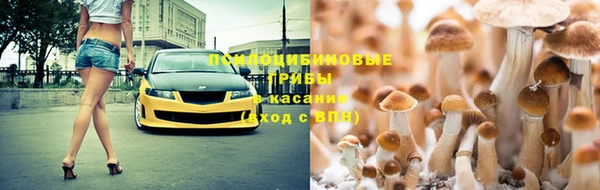 спиды Инсар