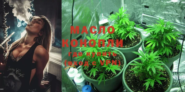 спиды Инсар