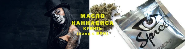 спиды Инсар