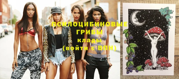 прущая мука Инта