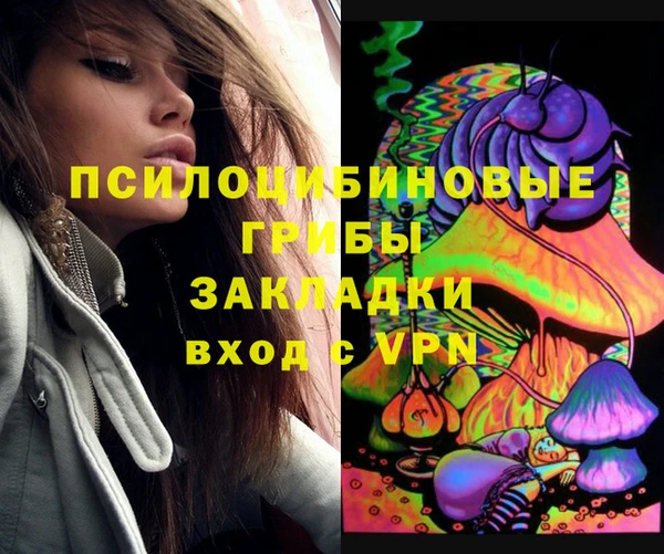 прущая мука Инта