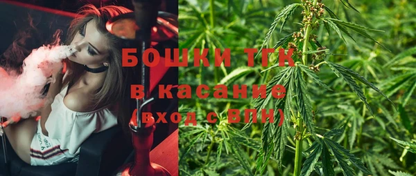 спиды Инсар