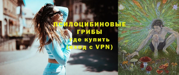 прущая мука Инта